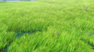 Houseki no Kuni (TV)